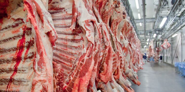 Governo promete reverter veto da UE a carnes e animais brasileiros